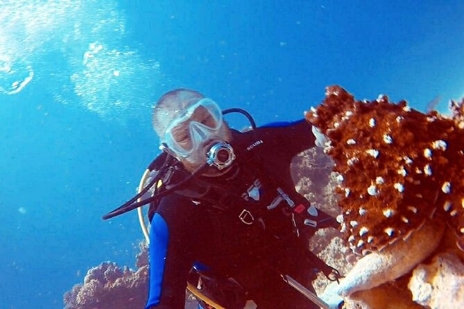 PADI Open Water Diver Course in Hurghada - Learn Scuba Diving - First morning in Hurghada: a small class, real safety focus