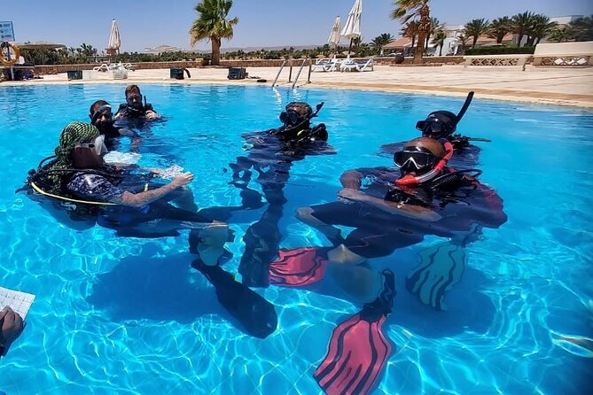 PADI Open Water Diver Course in Hurghada - Learn Scuba Diving - Day 1: video, manual, and shallow-water skills