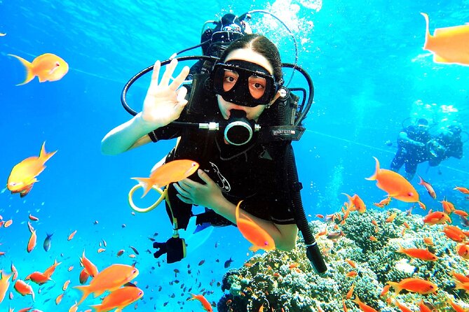 PADI Open Water Diver Course - Equipment, meals, and the small comfort wins that add up