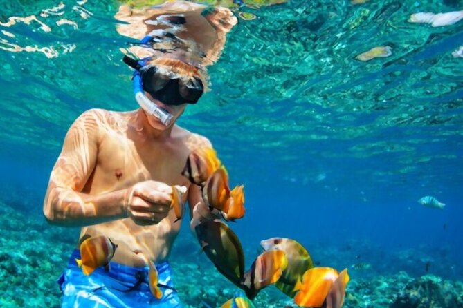PADI Scuba Diver (PSD) - The 2-day flow: what you do and why each step matters