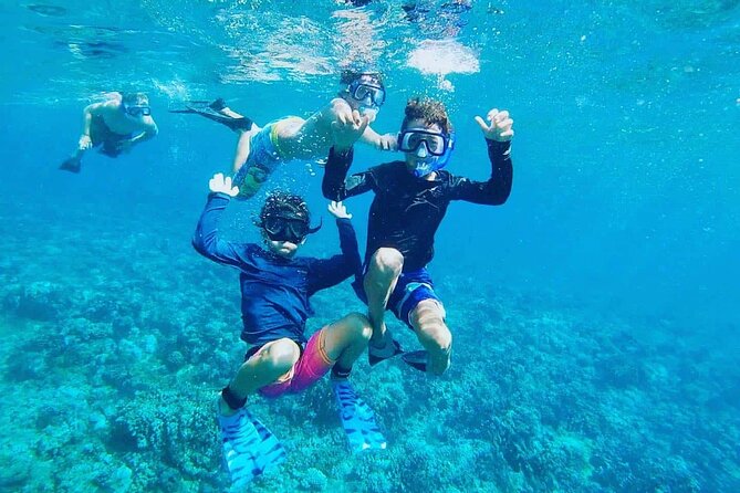 Panorama Semi Submarine Snorkeling Cruise Hurghada - Snorkeling Stop Details: 40 Minutes in the Water