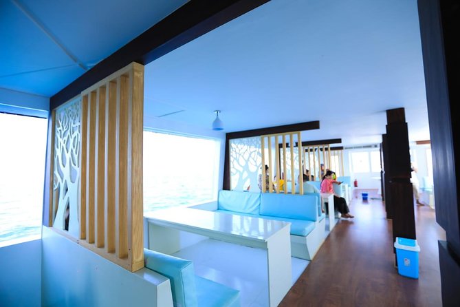 Paradise Catamaran Conquest 2 Hours Semi Submarine & snorkeling - Hurghada - Gear, safety, and comfort: what’s provided and what to bring
