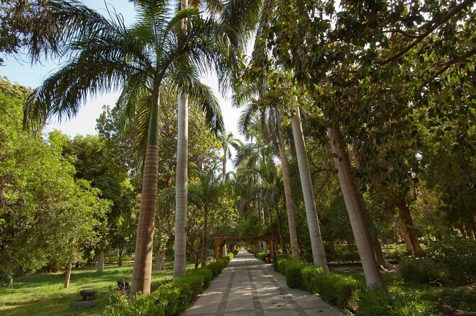 Private 1-Hour Felucca Sailing and Botanical Garden In Aswan - Key points at a glance