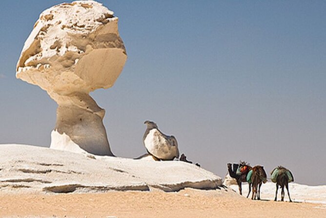 Private 2 Days Jeep Safari to White Desert and Bahariya Oasis - Black Desert Jeep time plus El Hez Village springs