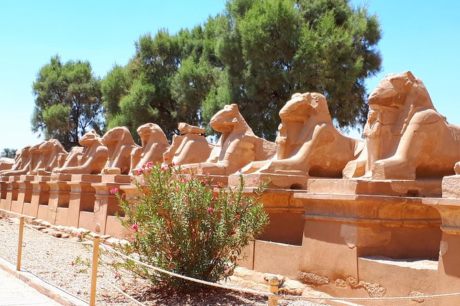 Private 2 Days The Best of Luxor - Day 1 on the West Bank: royal tombs and Hatshepsut at Deir el Bahari