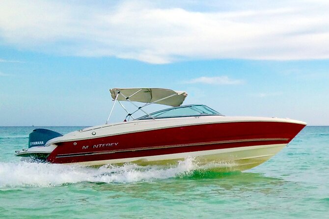 PRIVATE! | 4-hour Speed Boat Trip | Swim With Dolphins, Snorkeling & Island - Giftun Islands: the island break you actually want