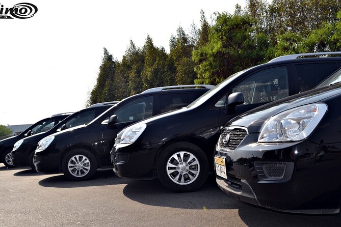 Private Airport Transfer: Cairo Airport Transfer to anywhere in Cairo - Meeting your driver in Cairo arrivals, and how to make it smooth