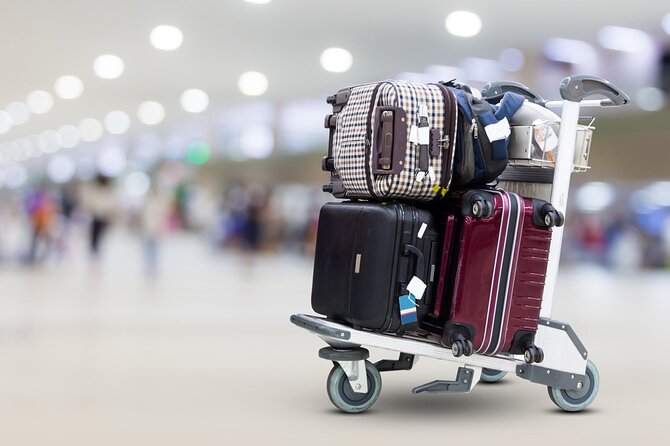 Private Airport Transfer in Cairo - Who this Cairo transfer suits best