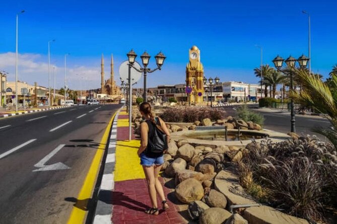 Private City Tour and Old Market Shopping in Sharm El Sheikh - Old Market shopping for souvenirs and everyday Egyptian finds
