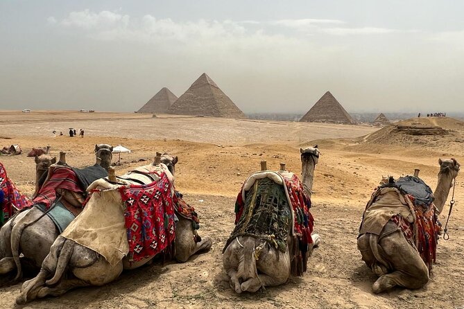 Private Day Pyramids and Grand Egyptian Museum with free camel - Price and value at $10, plus what to verify before you go