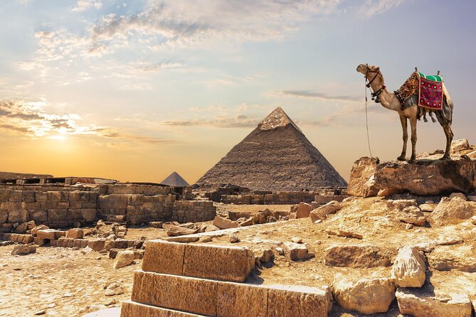 Private Day Pyramids and Grand Egyptian Museum with free camel - Who this private pyramids and museum tour suits best