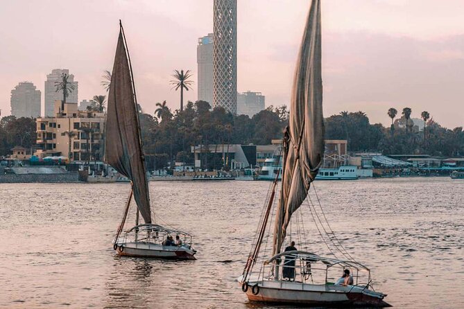 Private Day Pyramids and Grand Egyptian Museum with free camel - Should you book this private tour?