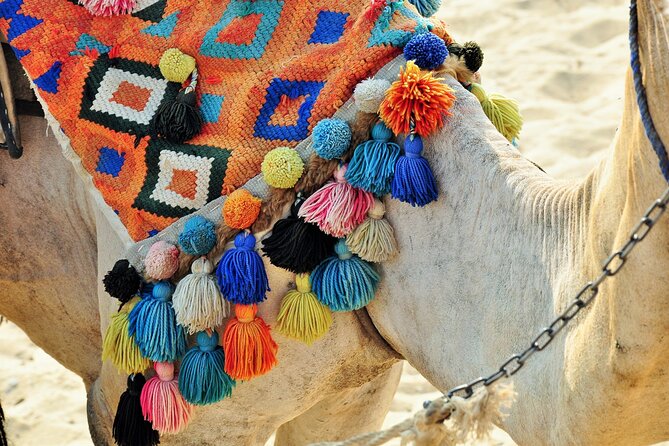 Private Day Tour of Giza Pyramids, Egyptian Museum, and Bazaar" - Should You Book This Tour? My Quick Decision Guide