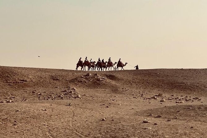 Private Day Tour Pyramids of Giza, Egyptian Museum and Bazaars - Pyramids of Giza: Great Pyramid Views and the Sphinx Stop