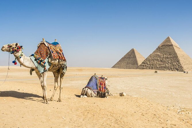 Private Day Tour to Cairo with Flights and Lunch from Hurghada - Museum of Egyptian Antiquities, Predynastic to Greco-Roman