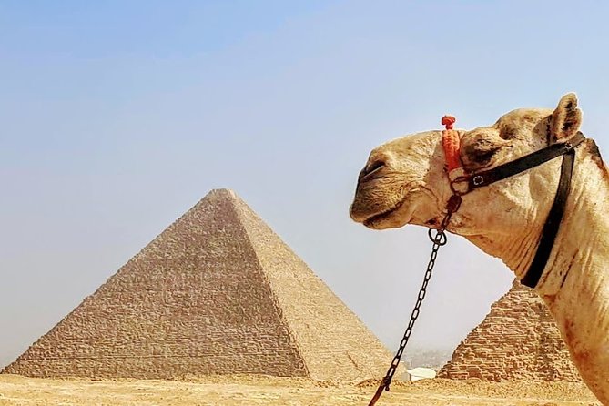 Private day trip to Cairo from Hurghada - Pyramids of Giza: Cheops, Chephren, Menkaure, and What to Look For