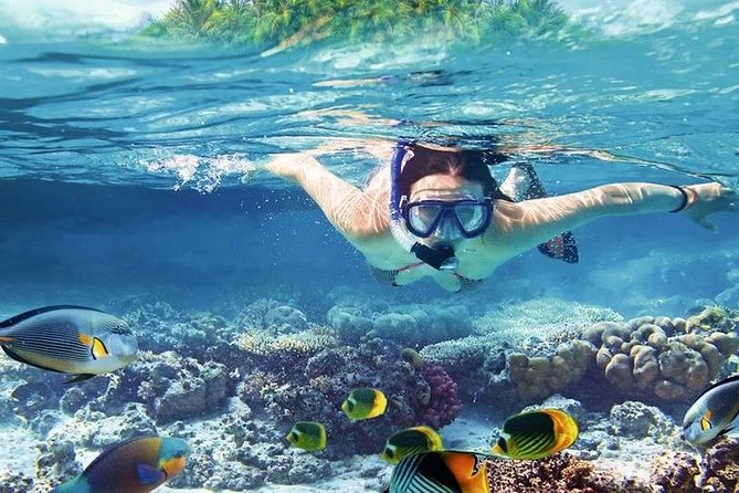 Private Dolphin House Boat Tour with Snorkeling & Lunch– Hurghada - The onboard seafood lunch that actually feels like a meal