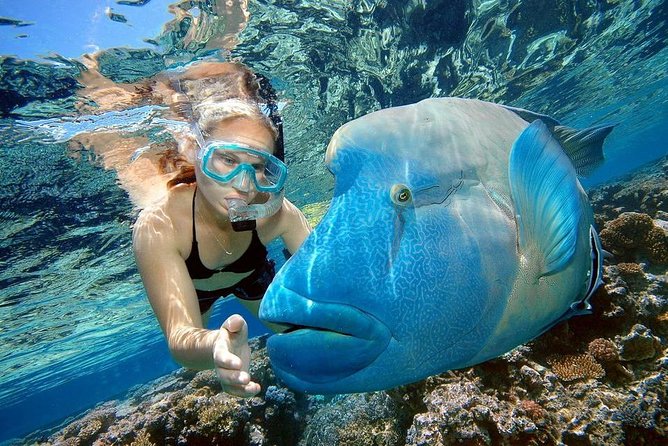 Private Dolphin House Boat Tour with Snorkeling & Lunch– Hurghada - Crew service level, from Ahmed to Ramkn