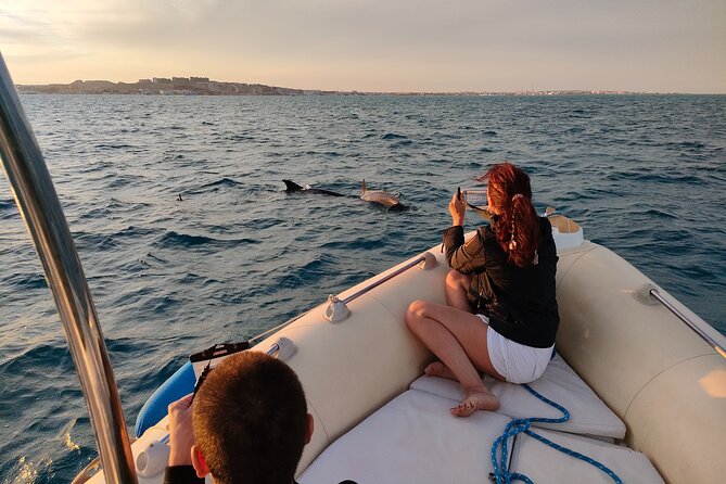 Private Dolphin Watching And Snorkeling Tour - Key things you will notice on this tour
