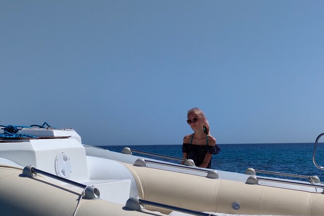 Private Dolphin Watching And Snorkeling Tour - Timing, meeting up, and getting there without hotel pickup