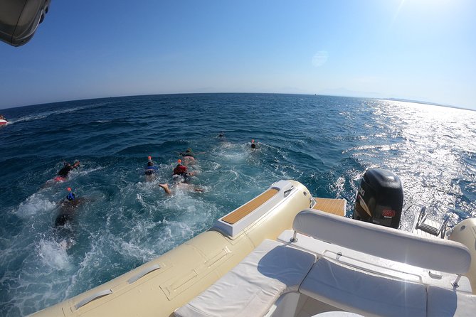 Private Dolphin Watching And Snorkeling Tour - Who should book this private dolphin and snorkeling speedboat day