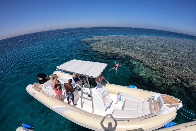 Private Dolphin Watching And Snorkeling Tour - Dolphin search in open water, close viewing only when it is appropriate