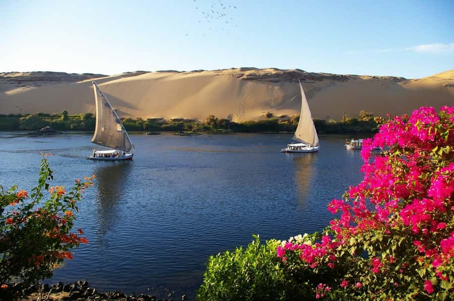 Private Felucca Ride on the Nile River - Your guide on the water: history, humor, and photo help