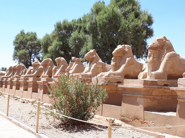 Private Full Day Tour to Luxor from Cairo with Flight - Lunch on the Nile: a real break in a 17-hour day