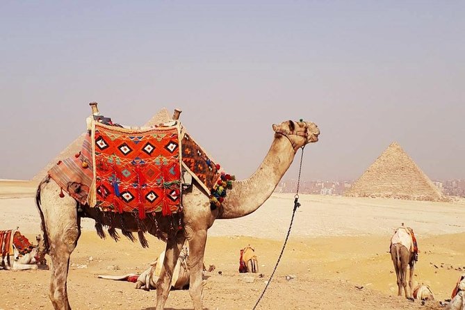 Private Half-Day Tour to Giza Pyramid ,Sphinx and Camel Ride - Door-to-Door Pickup That Makes Giza Feel Manageable