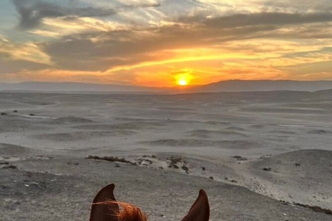 Private Horse Riding Tour in Luxor West Bank - Sunrise Balloons vs Desert Sunset: How Timing Changes the Ride