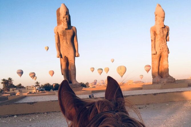 Private Horse Riding Tour in Luxor West Bank - Helmets, Chaps, and Horse Comfort That Actually Matters