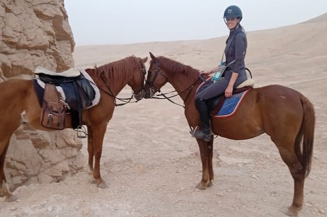 Private Horse Riding Tour in Luxor West Bank - Price and Value: What $12 Gets You in Luxor