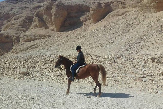 Private Horse Riding Tour in Luxor West Bank - Logistics That Affect Your Day: Meeting Point, Timing, and Pickup