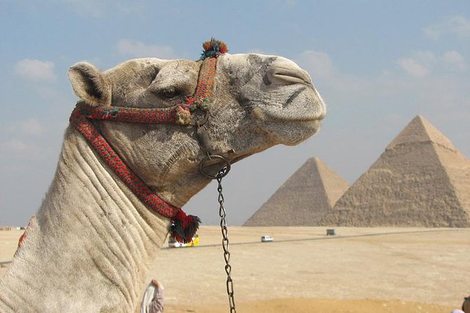 Private Journey :Grand Egyptian Museum & Giza Pyramids - Hotel pickup and the drive strategy in Cairo
