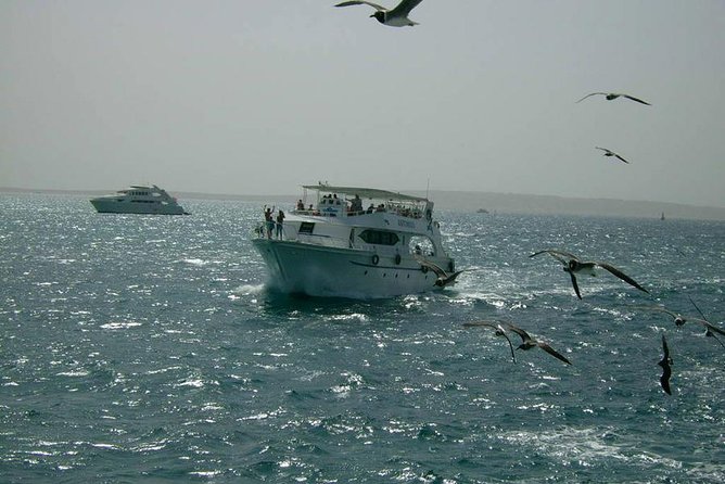 Private sea trip Hurghada - Why the Private Part Feels Different (Even for Families)