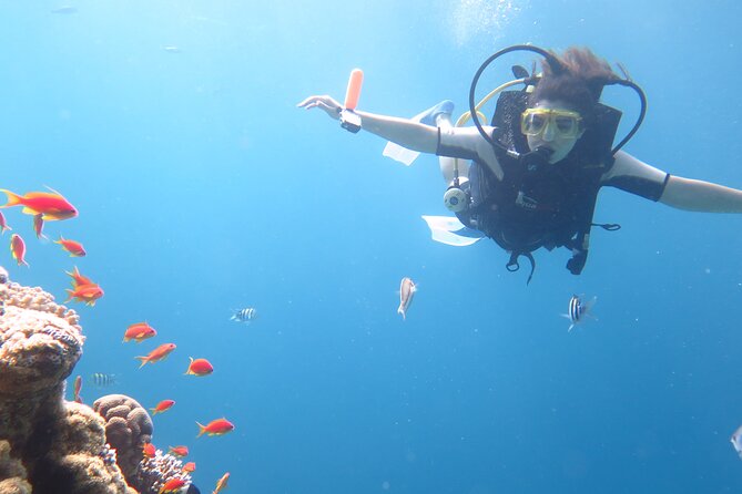 Private sea trip Hurghada - Price and Value: What $814.20 Covers