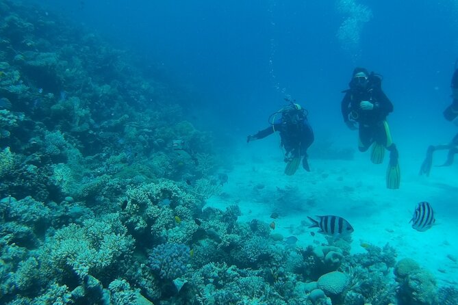 Private sea trip Hurghada - A Realistic 7 to 8 Hour Timeline on the Water