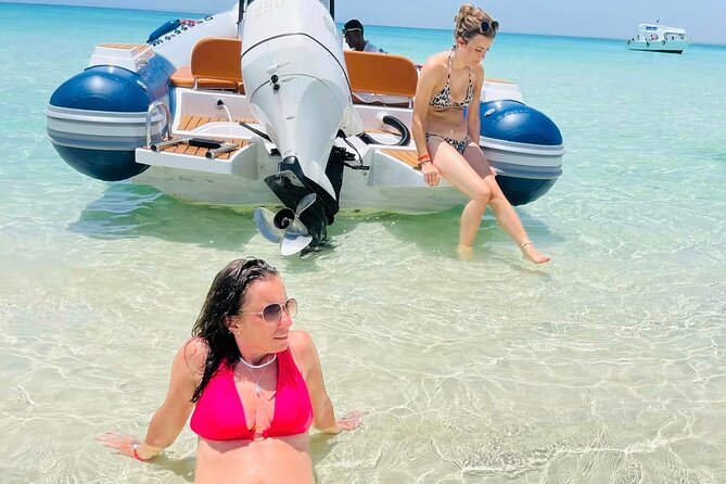 Private Speed Boat 4 Hours to White Island and Dolphin House - Two Snorkeling Stops, Snorkel Gear Included, and Fish You Can Actually See