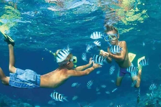Private Speed Boat Snorkeling with Dolphins Trip - Hurghada - The Dolphin House stop: what’s included, and the fees you must plan for