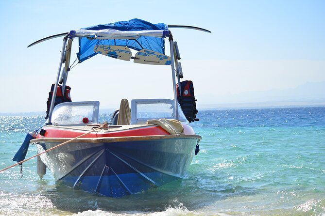 Private Speed Boat & Swim With Dolphins & Water Sports-hurghada - Dolphins: what to expect and how to behave