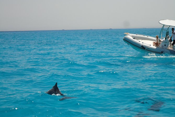 Private Speed Boat Trip In Hurghada - What You Can Actually Do: Dolphins, Islands, Snorkeling, Sunset