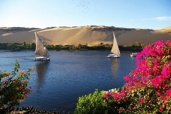 Private Tour: 10 Days Pyramids ,Nile Cruise & Hurghada by Air from Cairo - Egyptian Museum in Cairo, with Tutankhamun on the agenda