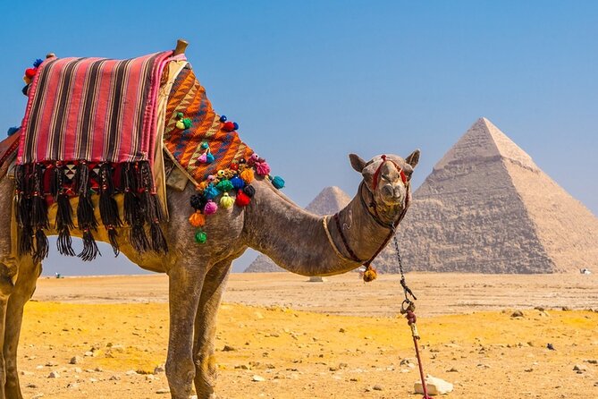 Private Tour: Cairo Day Trip from Hurghada, Including Round-Trip Flights, Giza Pyramids, Sphinx, and Egyptian Museum - Pyramids of Cheops, Khafre, Menkaure, plus the Valley Temple of Khafre