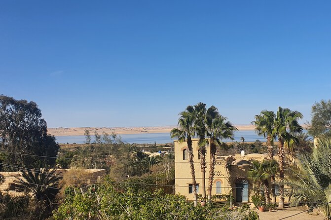 Private tour El Fayoum Oasis and Wadi Rayan waterfall from Cairo - Key things I would focus on before you go