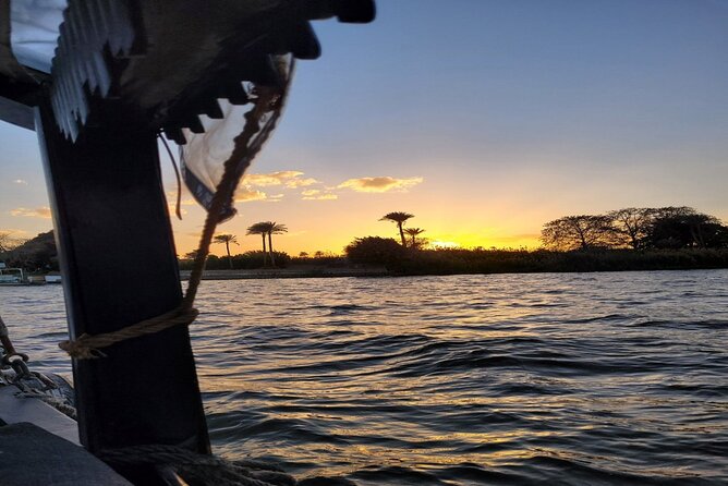 Private Tour in Aswan : Felucca and Nubian village - Nubian village in about 1 hour: how to set your expectations