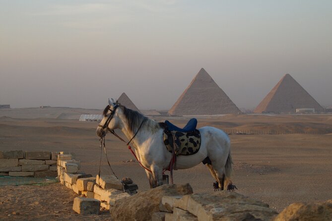 Private tour to Giza Pyramids, Sphinx and Egyptian Museum - Comfortable pacing: breaks, camel rides, and lunch decisions