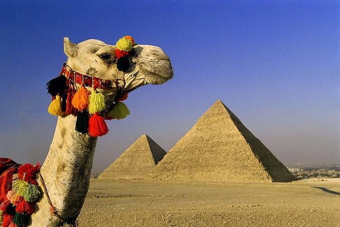 Private Tour to Giza Pyramids, Sphinx, Saqqara Pyramids & Memphis - Memphis and the Statue of Ramses II: a fast stop with big symbolism