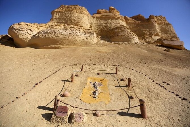 Private Tour to Whales Valley & Wadi El Rayan Waterfalls in El Fayoum from Cairo - El Fayoum From Cairo: a long day with big visual rewards