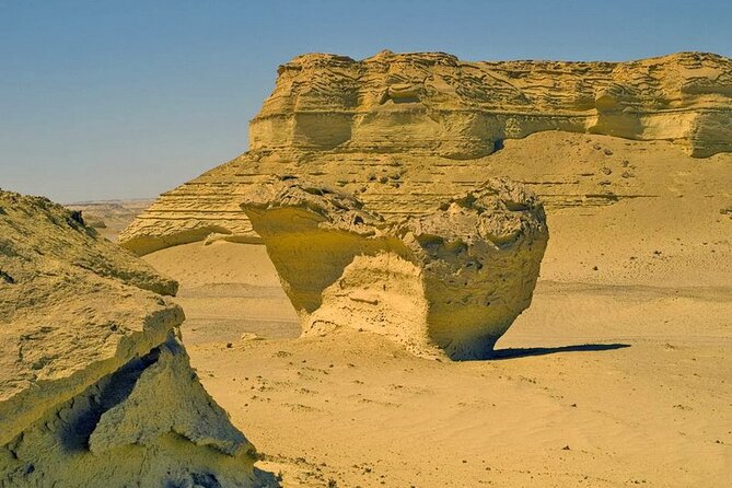 Private Tour to Whales Valley & Wadi El Rayan Waterfalls in El Fayoum from Cairo - Wadi Al-Hitan, Valley of the Whales: fossils that actually change your mind