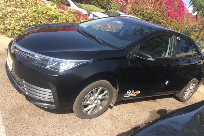 Private Transfer from Cairo Airport - Drop-Off at Your Hotel or Rental, Including Last-Mile Confusion